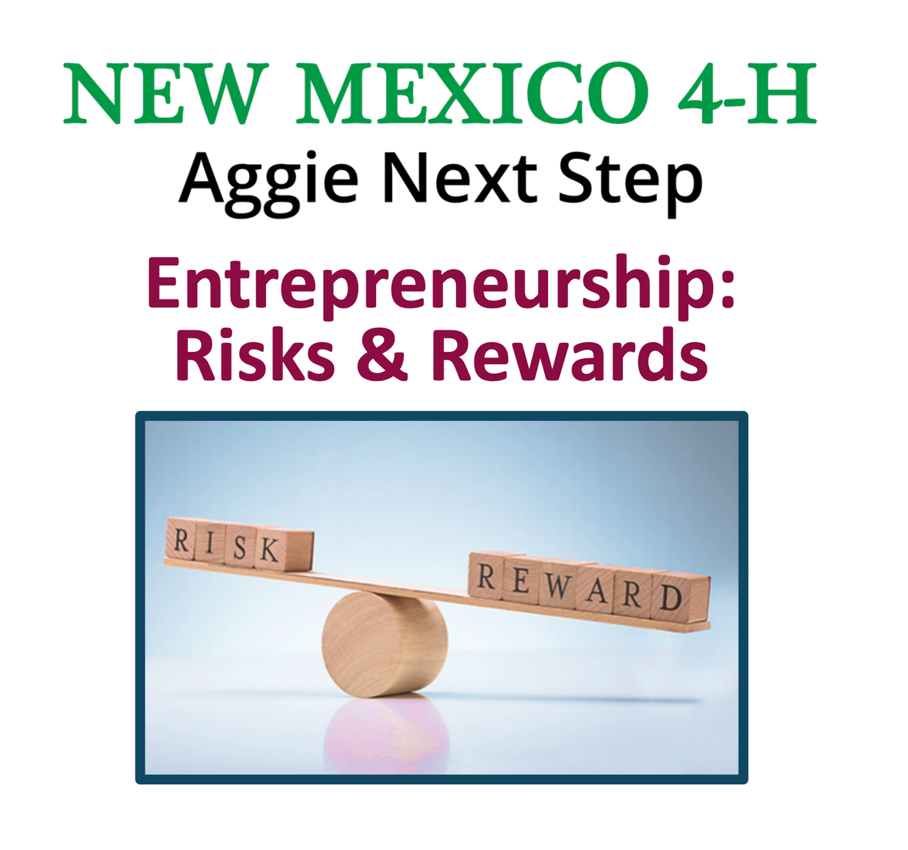 Entrepreneurship Risks and Rewards